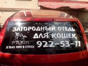 Реклама на заднее стекло